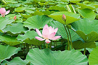 育碧竞速游戏《赛道狂飙》22年春季赛预告公布 活动现已上线